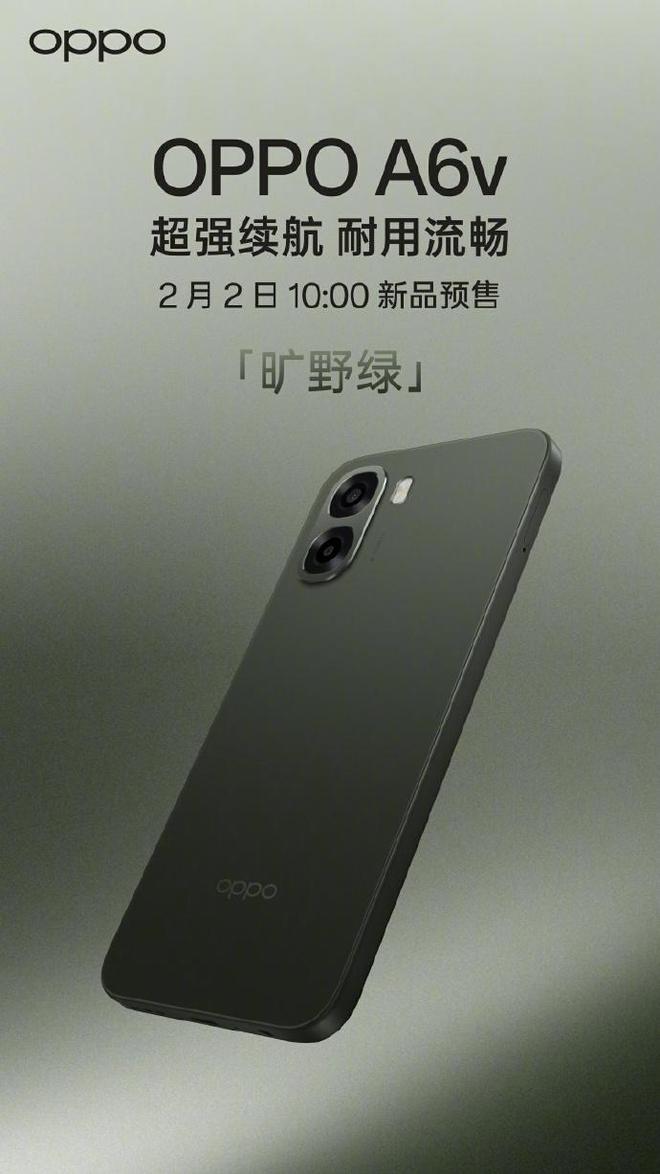 OQP4wPWr4165TZWI.jpg