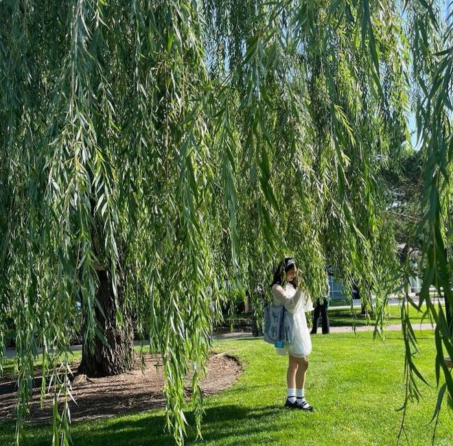qq7RcSq9C73HH48Q.jpg