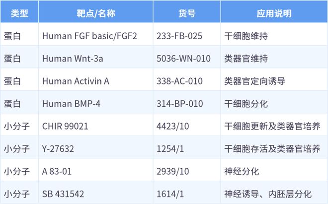 U1ZXdc12i5jPnC2d.jpg