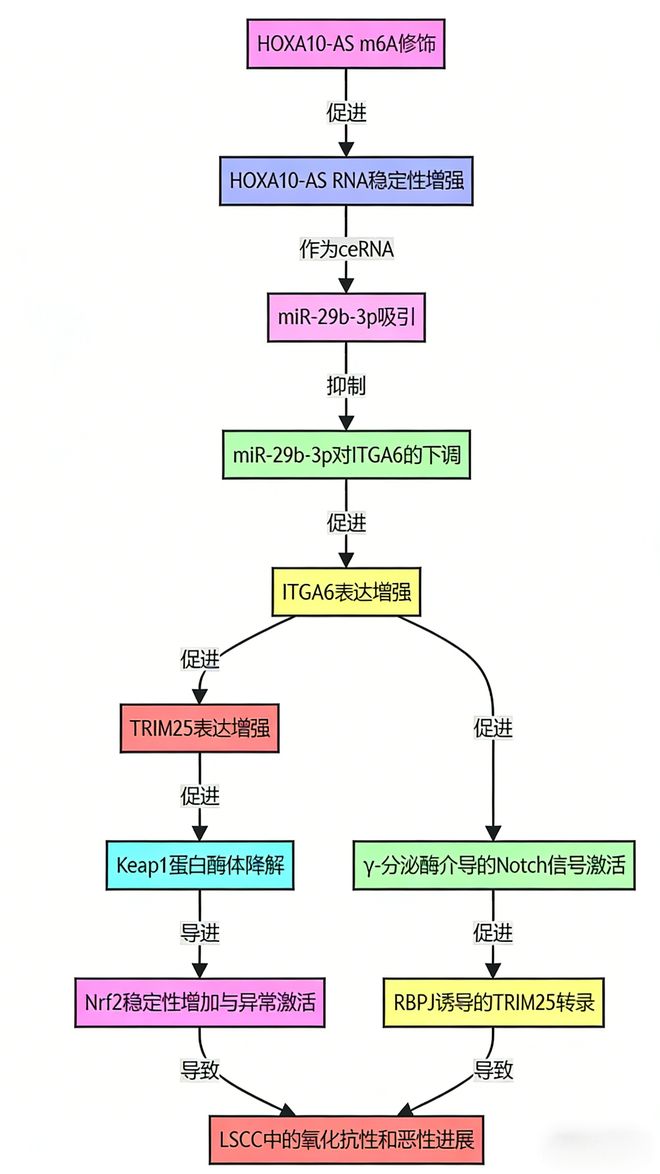 sRVoreBVoPZ7q7KN.jpg
