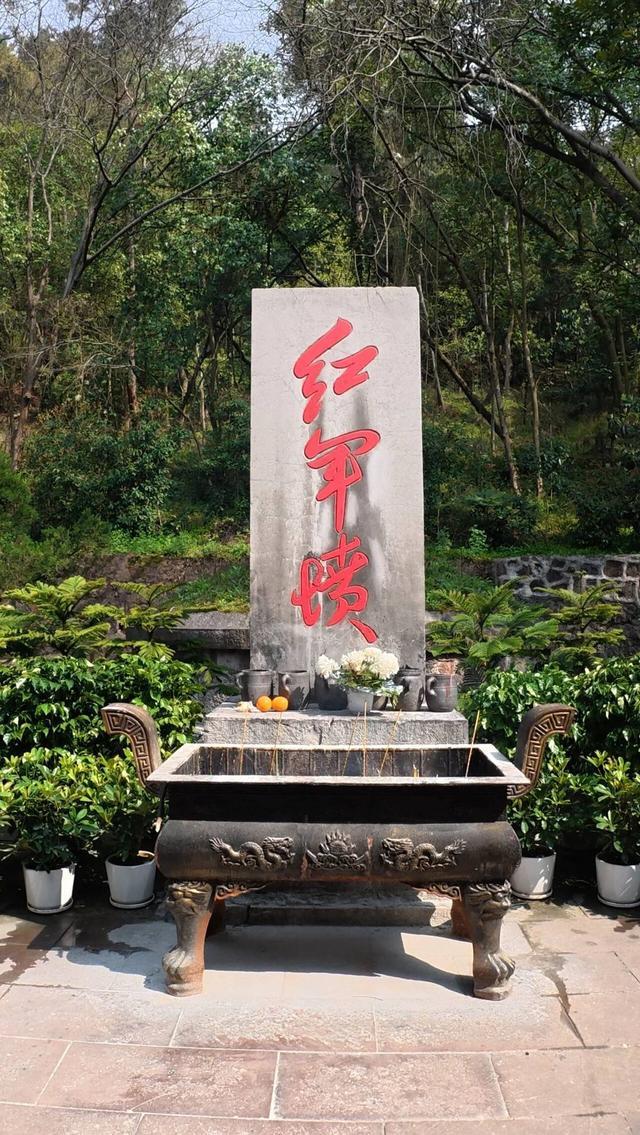 m2jVHrkV8yj244J8.jpg
