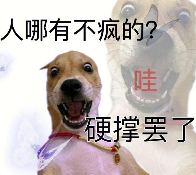 xt7p5JL9D0Zo9D96.jpg